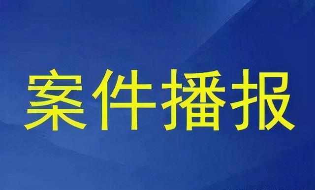 岳阳|湖南岳阳一非法控制肉类市场涉黑团伙被判刑 首犯被判25年并没收个人全部财产