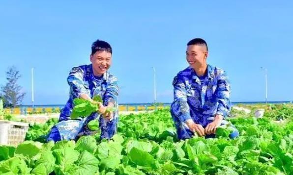 微观世界|又是中国专家，把菜从南极种到太空，蔬菜：我在太空长大老家中国