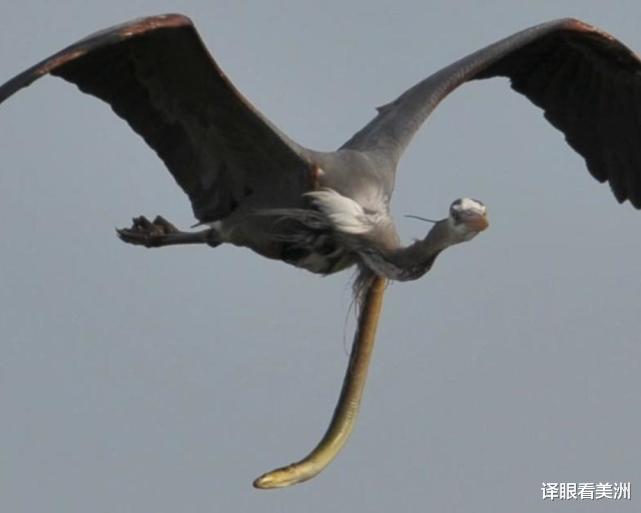 太空 22张不可思议的照片 带你看大千世界