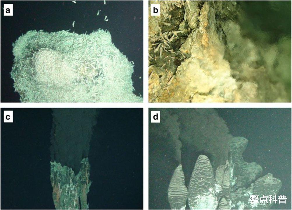 整点科普|能忍耐火山口450℃高温的“无眼虾”，为何惧怕人类50℃的火锅？