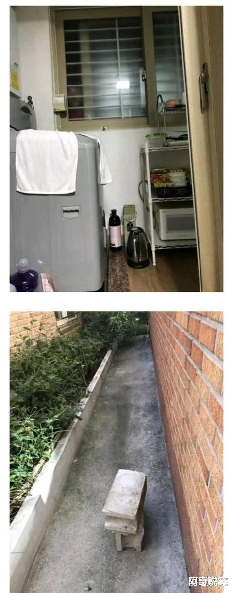 |“有什么东西卖真的犯法，卖假的不犯法？”神评也太内涵了吧！哈哈哈哈哈