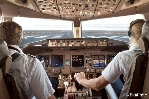 白发渔樵江渚上 “偷渡猫咪攻击飞行员”导致客机被迫紧急降落
