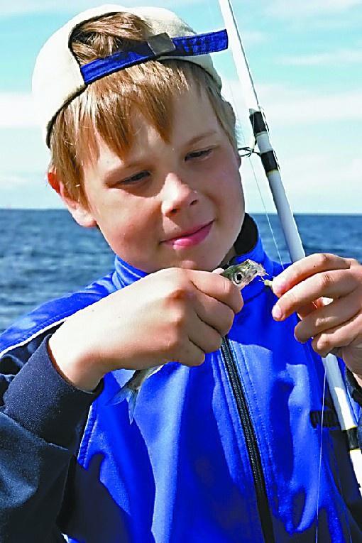 赫尔辛基|芬兰人钓鲱鱼，“愿者上钩”