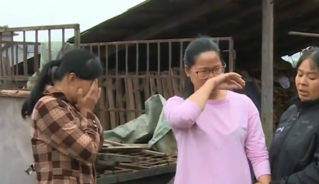 张婷 17岁弟弟身患白血病，想让姐姐捐献骨髓，结果婆婆出面拒绝！