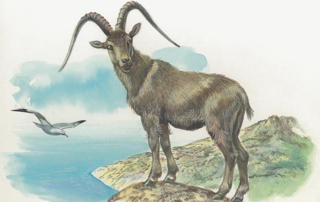 甜甜的句子我还没想好|两周内喜事不请自来，财运高持不下，惊喜纷至沓来的4大生肖