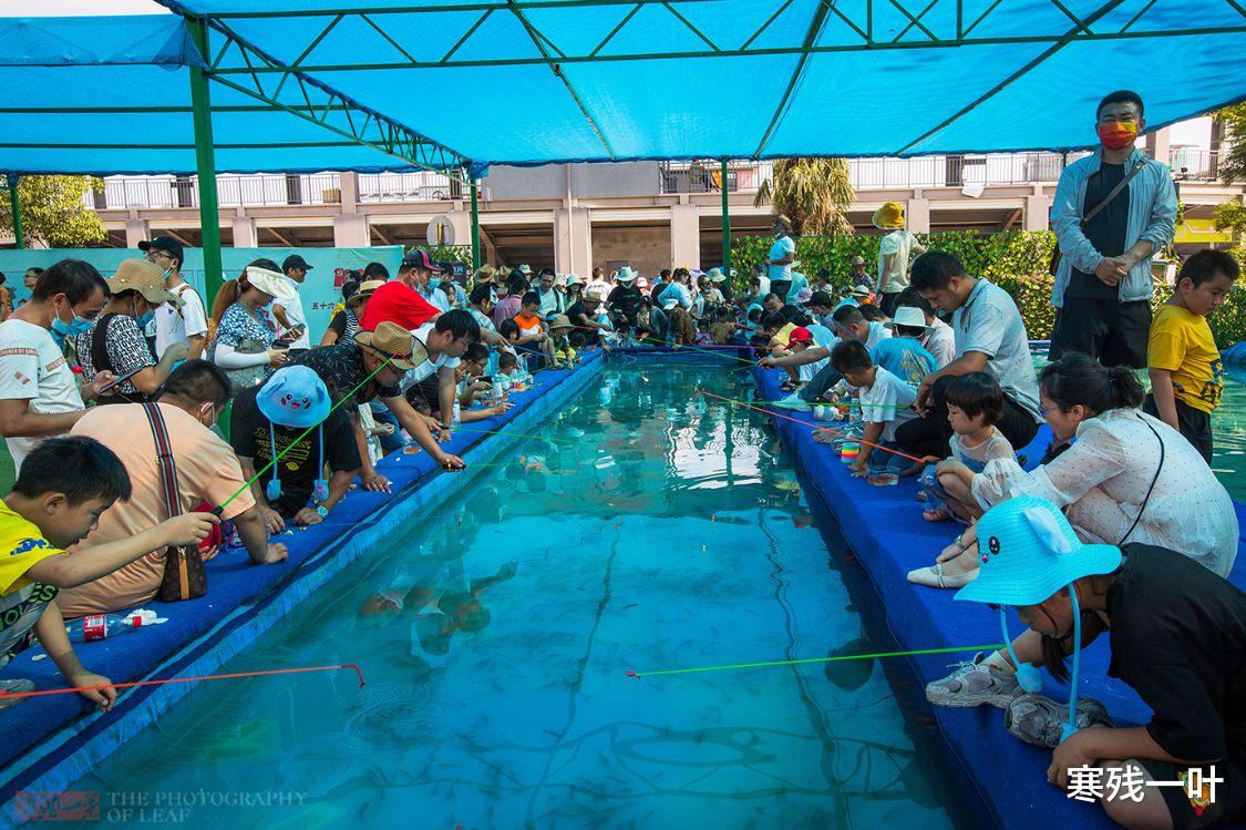 奇奇|一个简易鱼池,一根鱼竿30块,游客路过就迈不开腿,为何这么火?