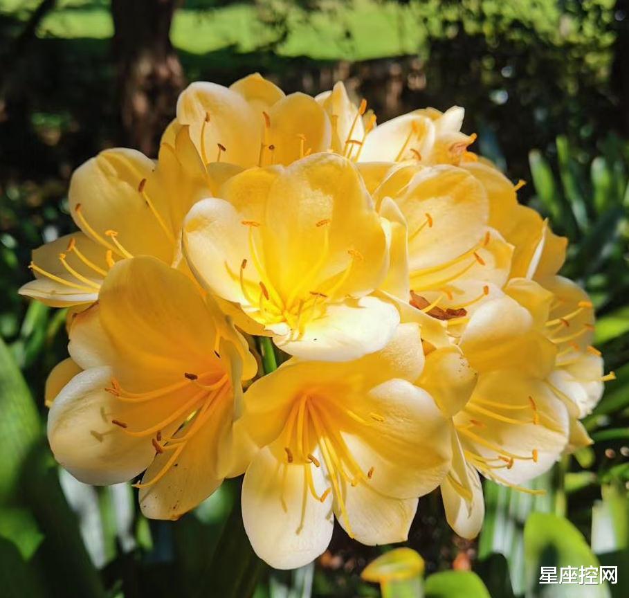 |哪些日子出生的人，事业蒸蒸日上，不走下坡路，前景广阔光明