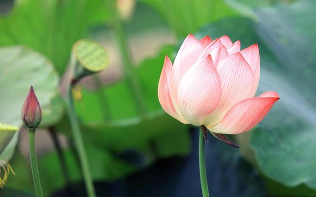 白龙王说 万灵吉历 ∣ 2021年10月31日【每日宜忌】