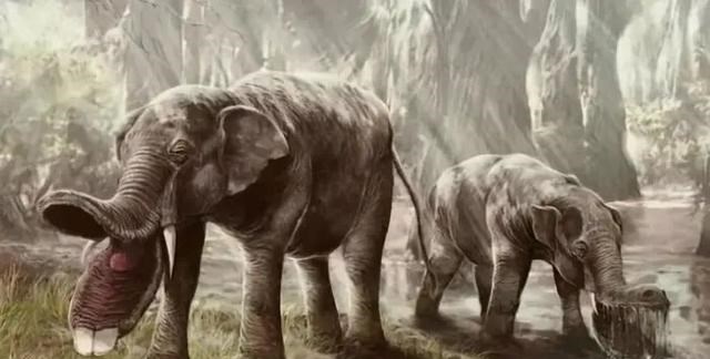 大象 如果大象现在灭绝了，几千年后考古专家复原出来的大象是啥样的？