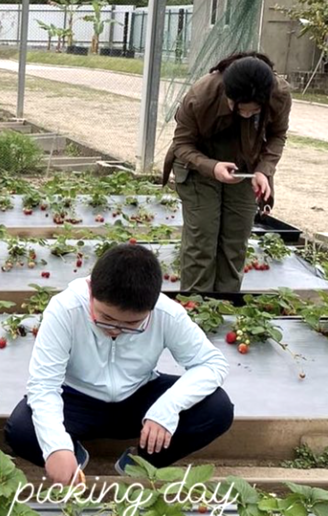 甘比|刘銮雄由妻女陪伴打疫苗，小露肌肉力证健康，与甘比合影年轻不少