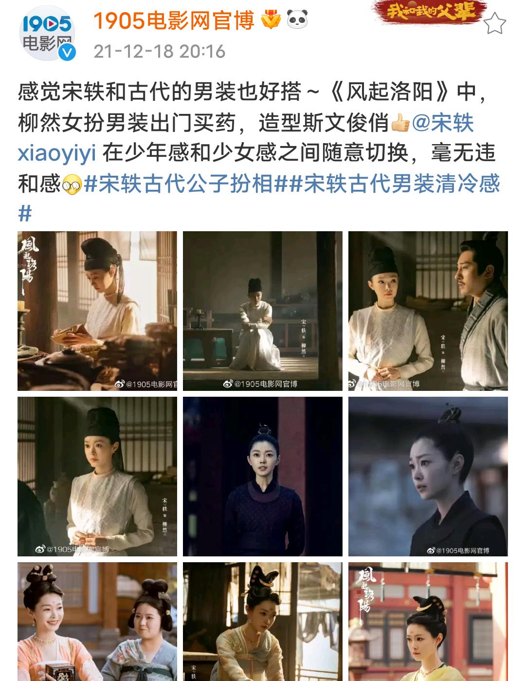 宋轶|风起洛阳：明明是一颗老鼠屎坏了一锅粥，央媒却夸宋轶毫无违和感