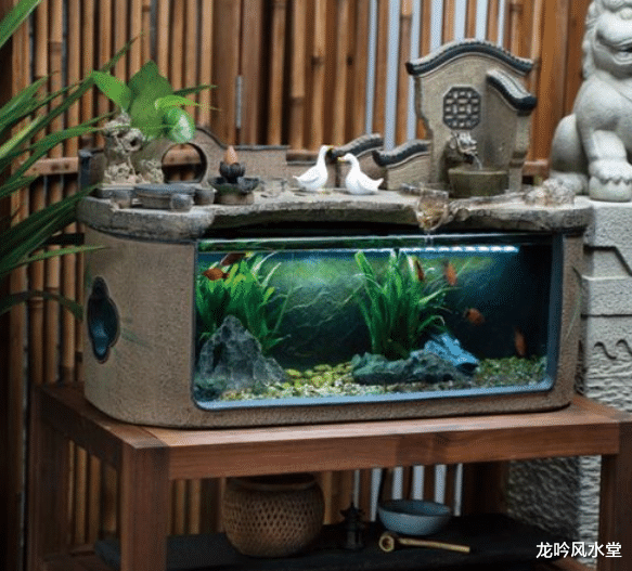办公室|办公室放置鱼缸需要注意些什么