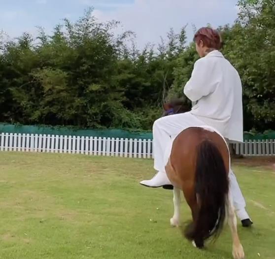 殷世航|殷世航骑1米矮马接套路璐，穿5厘米高跟鞋够不到地，霸总1米4