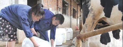 小姐姐 毒害30万儿童的三鹿董事长,被判无期仅7年,为何明年将出狱?