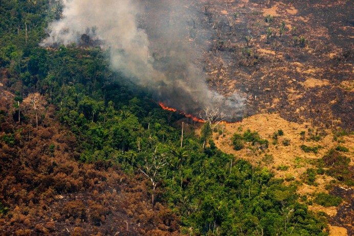 巴西雨林砍伐猛增67%，中國沙漠變綠洲，暴熱原因或已浮出水面-圖2