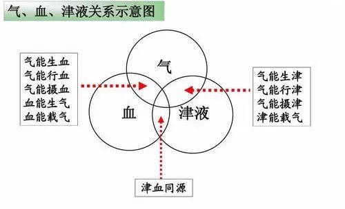运动|一文看懂站桩与气血的关系！