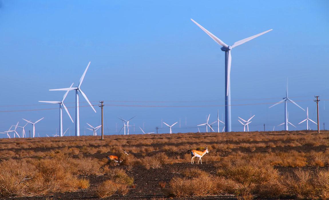 風力發電不環保？中國為風電投入2000億元，德國為啥“反風電”？-圖6