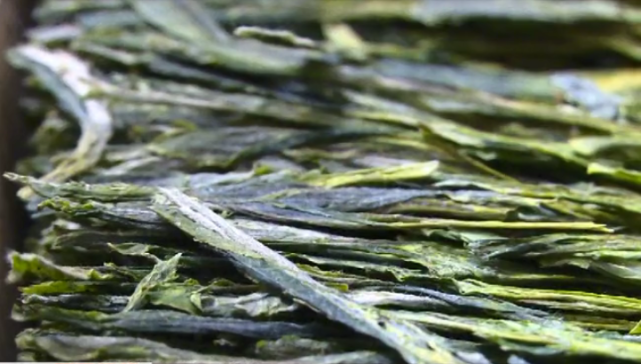 蚌埠广电 【提醒】新茶上市 市民不必盲目“赶早”