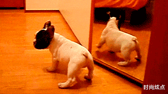 时尚炫点|女友发来的照片,我怎么觉得有点绿呢