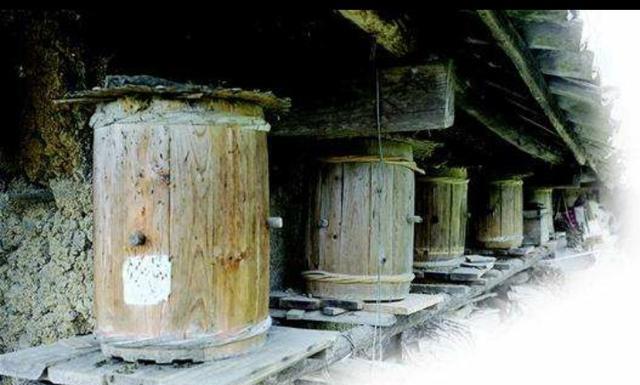 一生远远不够|中午开箱中蜂逃跑怎么办？