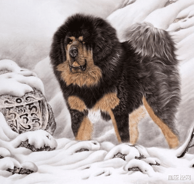 星座控网|阴历八月初一起，前和气生财，后贵人撑腰，吃饱睡好的四大生肖