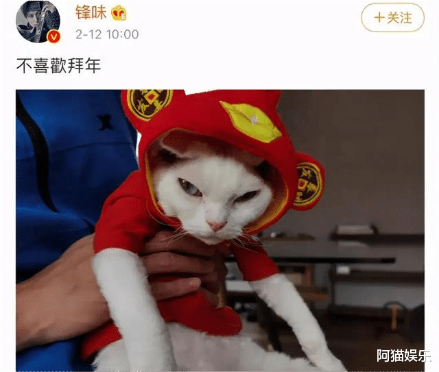 谢霆锋|大过年的，张柏芝又与谢霆锋杠上了！