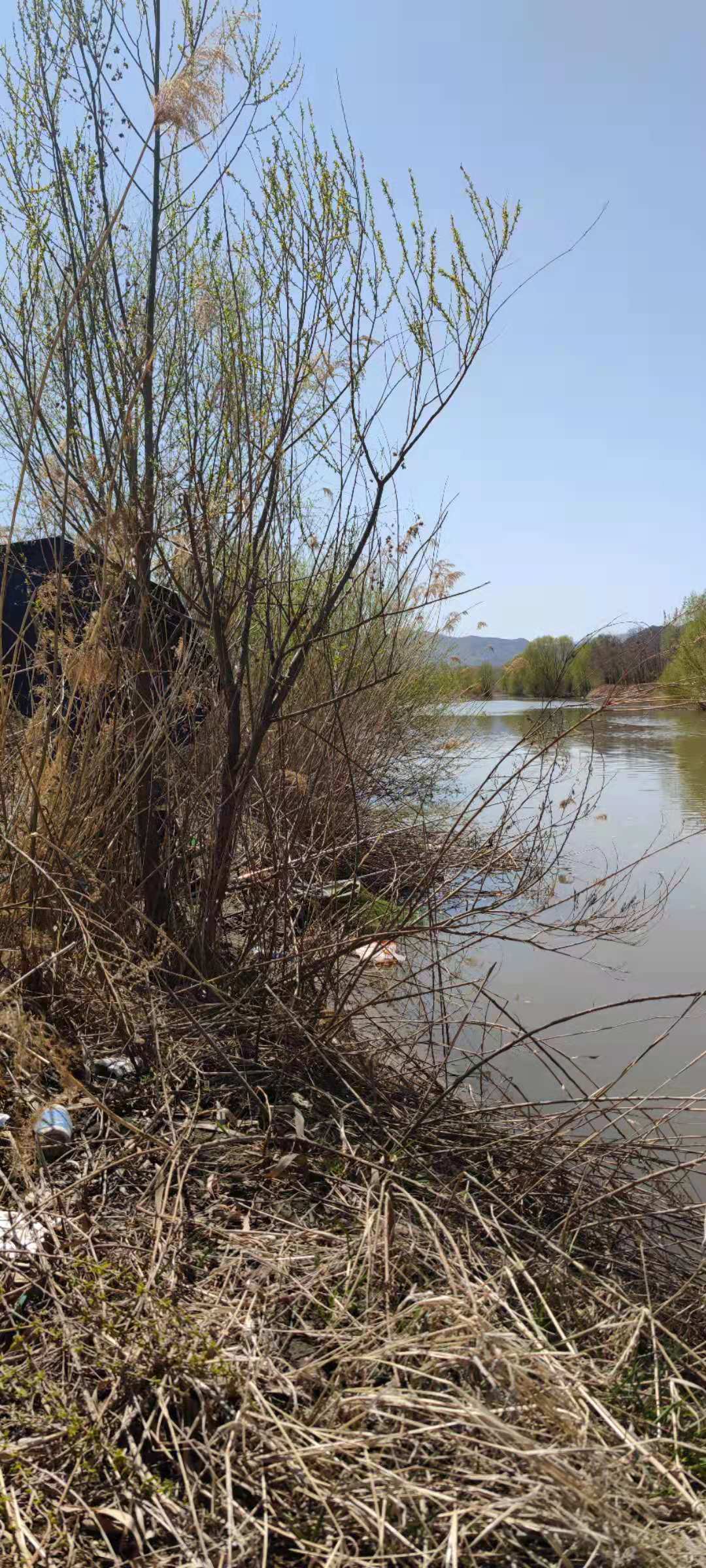 盲盒|四人相约野钓,顶着28度的太阳,暴晒大半天最终渔获却!