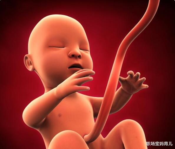 职场宝妈育儿|孕妇在熬夜时，胎儿在干啥？看了这个答案后，你还敢熬夜吗？