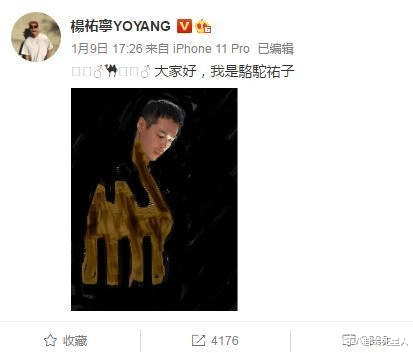 杨祐宁|古装男主的头套，从霍建华到杨祐宁都是灾难，只有两人hold住了