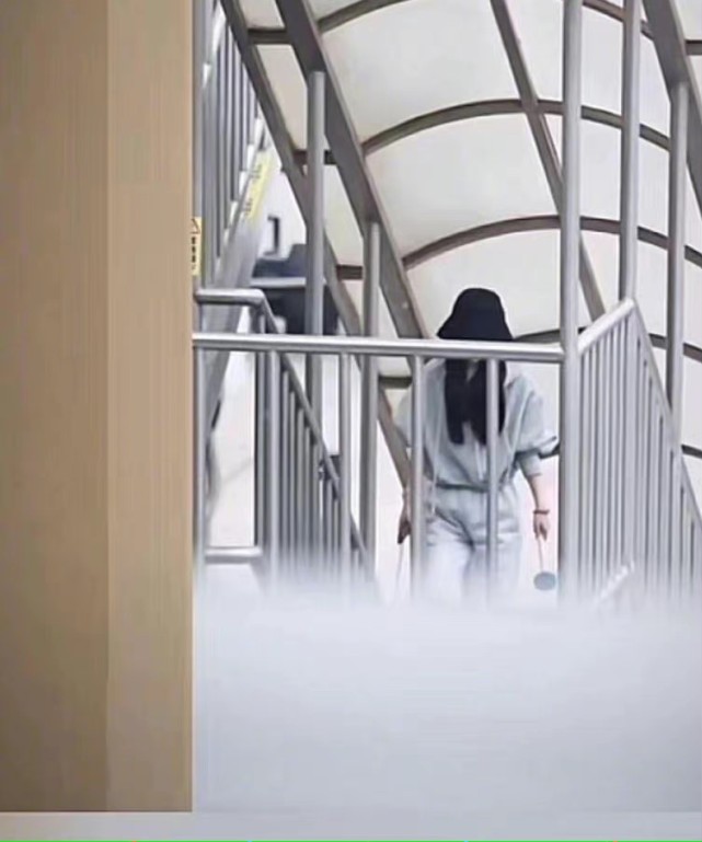 赵丽颖|赵丽颖离婚后落寞现身，和助理走机场忙工作，不要爱情要做女强人