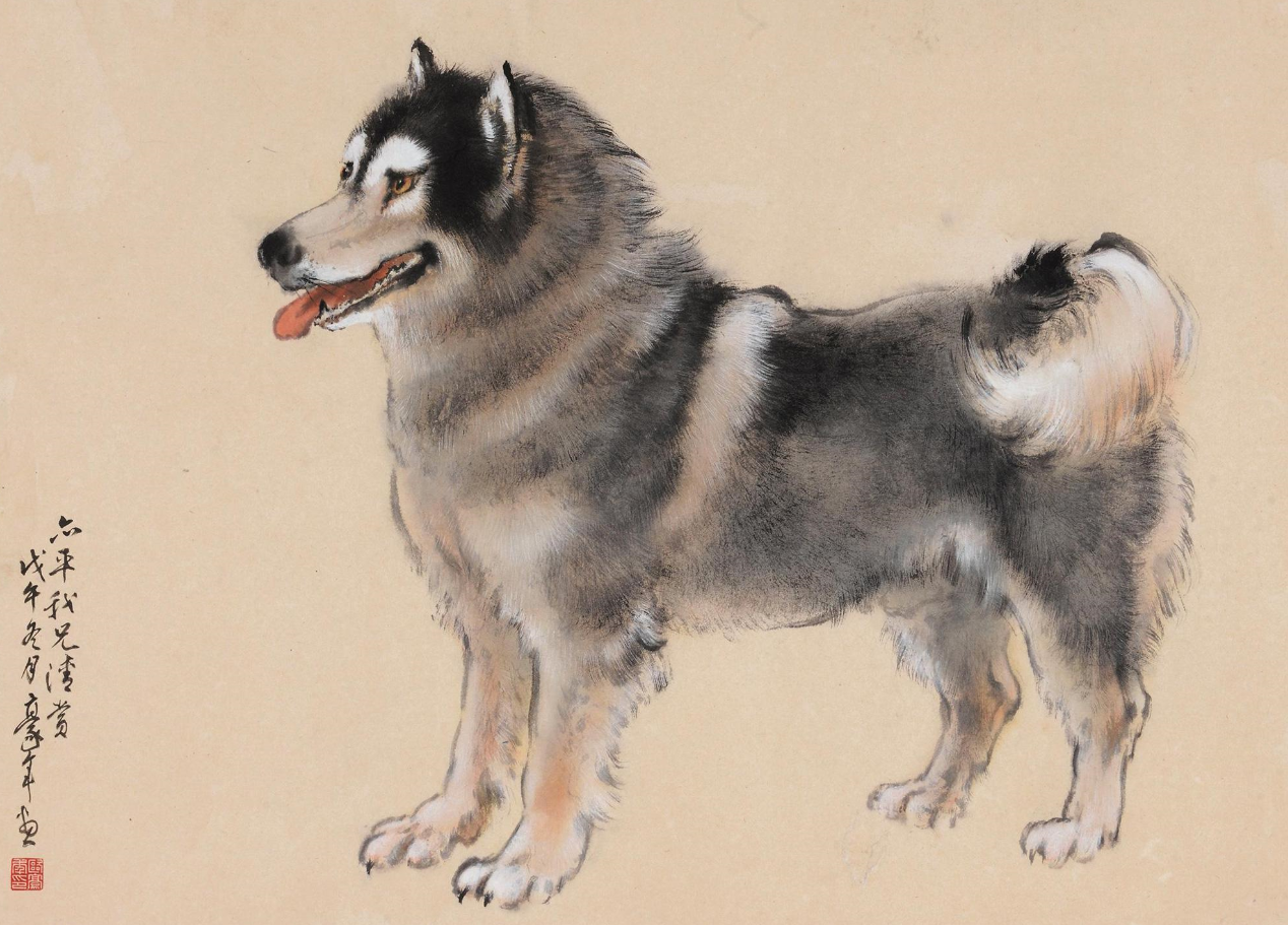 运势|5月13日-5月22日，三大生肖金钱入门，财运上升运气好到令人羡慕