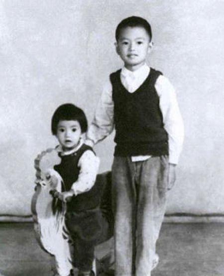 高圆圆|“绝世女神”高圆圆上位记，和她背后的5个男人