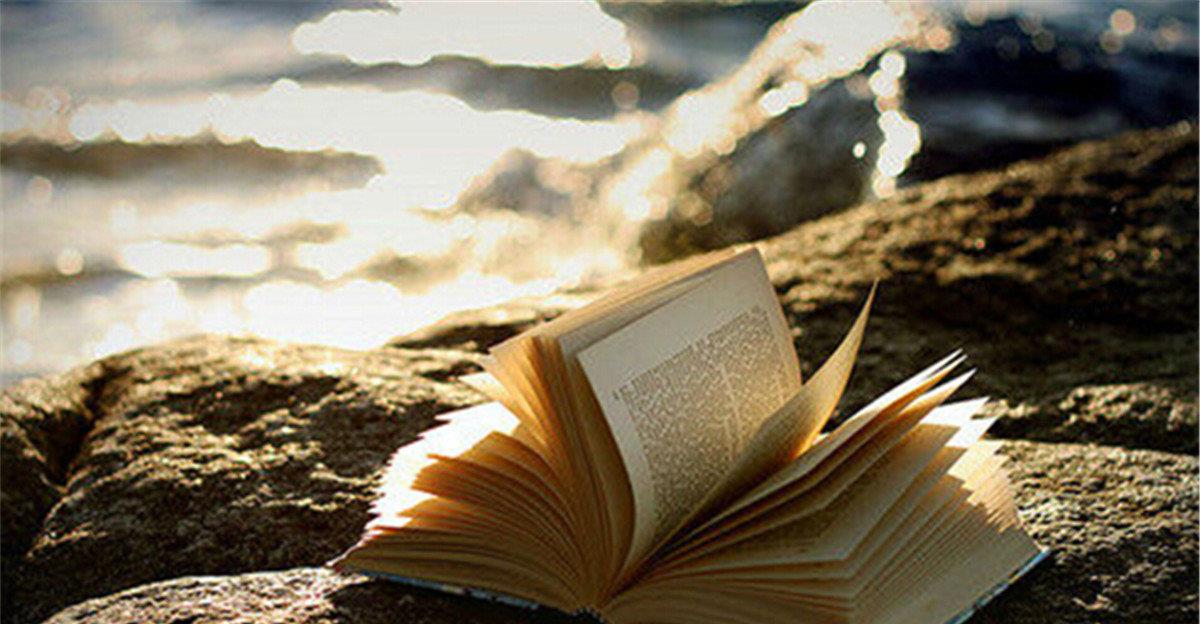 刘淑芸|也来谈谈网络文学行业五五断更节：让商业回归商业，创作回归创作