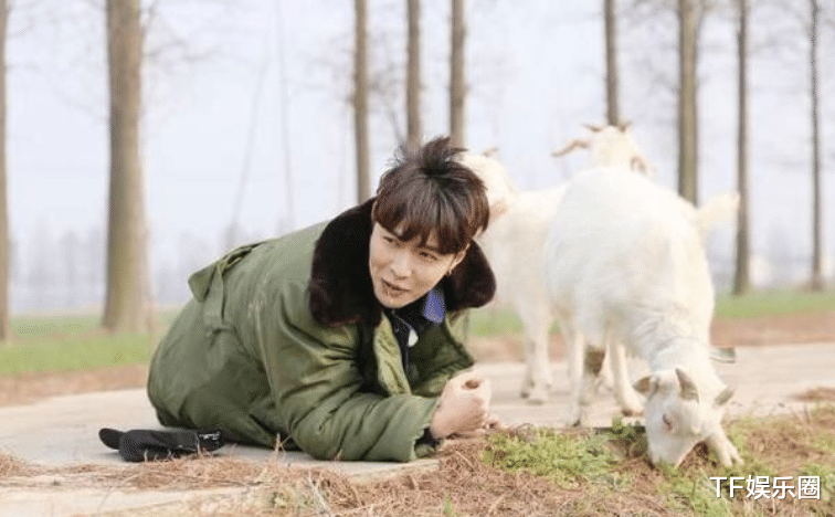 张艺兴|张艺兴新歌中加入黑粉嘲讽音频，包含嘲羊区吃草等，网友：玻璃心