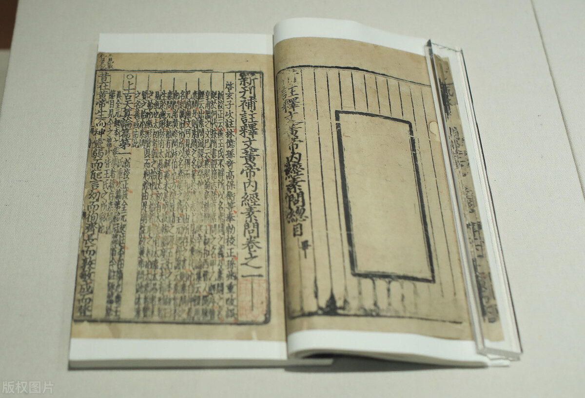 番茄医生在线|?“白露”养生怎么做？中医师提醒：把握 4 关键，调养不生病的好体质