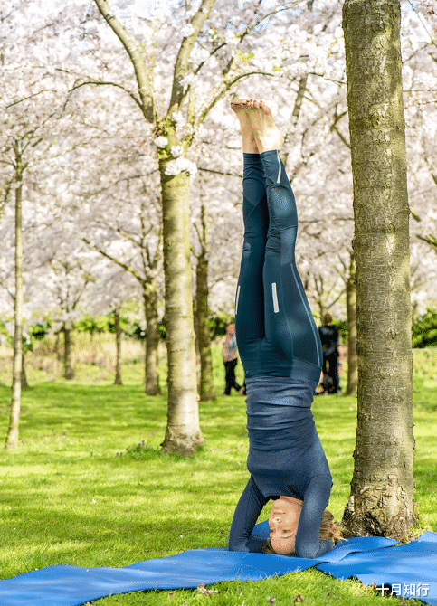 深蹲|经验分享：突然找到倒立的感觉，是顿悟、还是经验的积累？