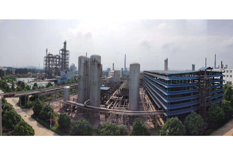 |1.6亿,我酸了,你呢?