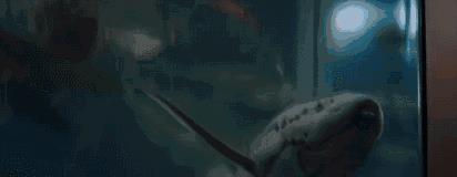 隐秘的角落|四部烧脑现代悬疑剧，前三实至名归，隐秘的角落在它面前都是弟弟