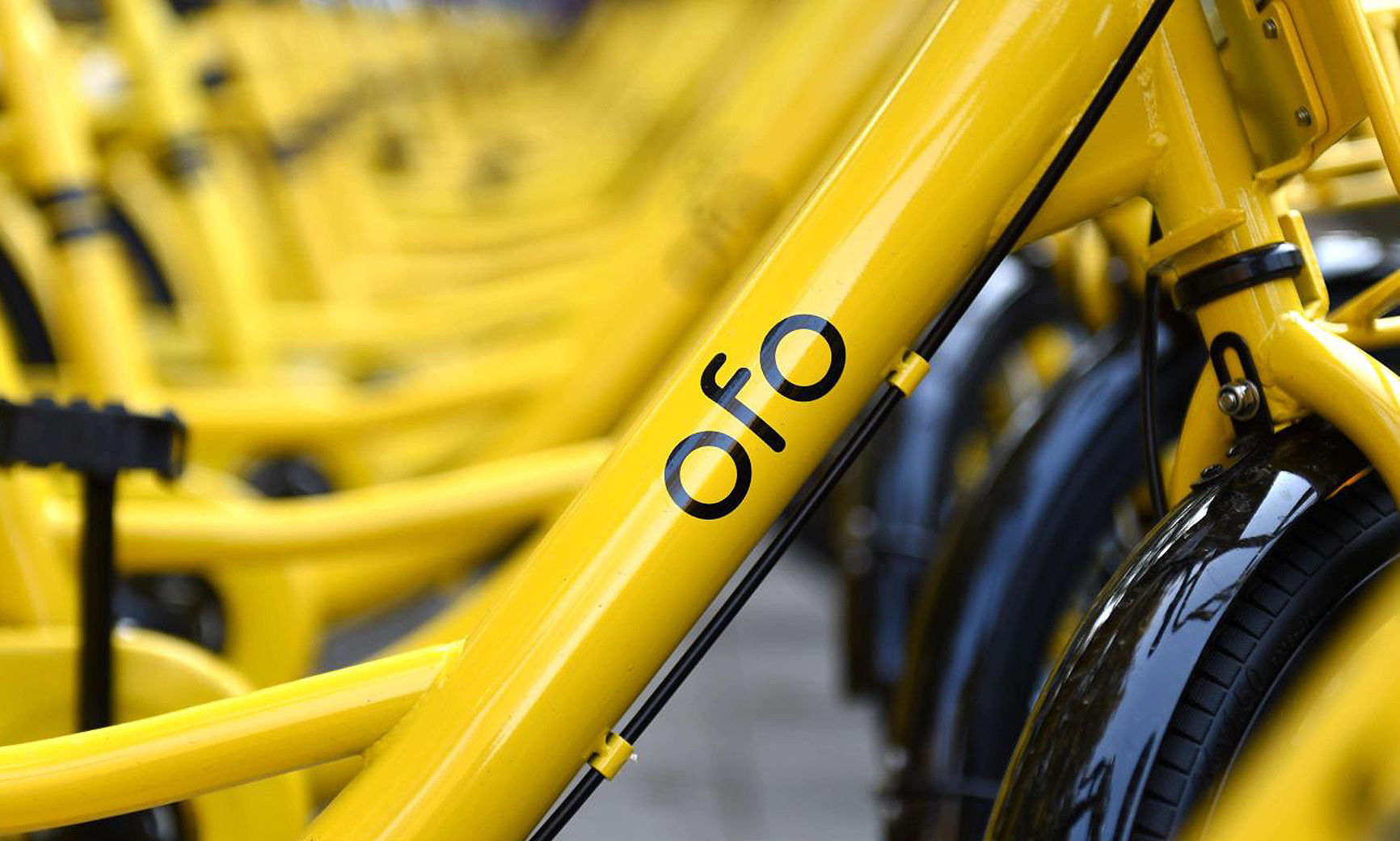 押金|被网友骂上天！ofo推出拉好友退押金活动，央视点评：庞氏骗局