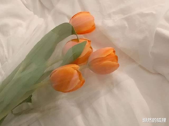 坦然的狐狸 让男人放不下的女人，莫过于这三个