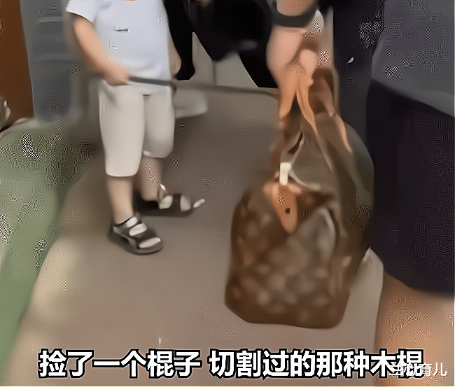 兰心育儿|小男孩用棍子抽打路人,父母默不作声,路人怒而还手教做人