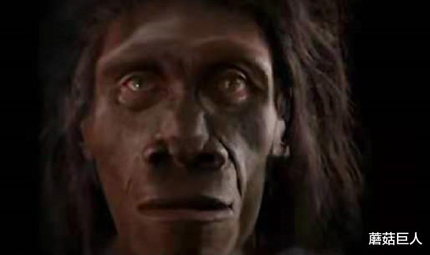 蘑菇巨人|3万年前的星空遗民,外星种族放在地球的小白鼠,你是其中之一吗?