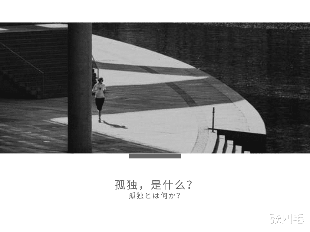 张四毛|“孤独才是人生常态，你又何必耿耿于怀”