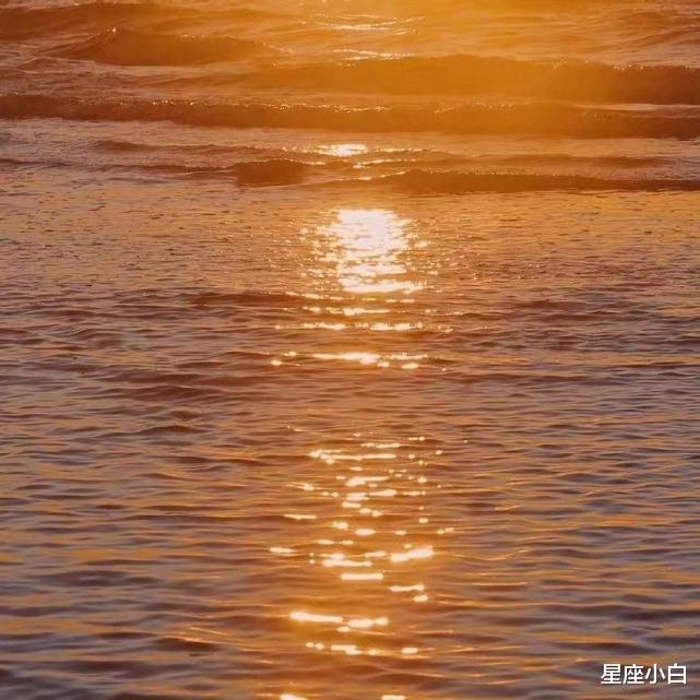 星座小白 人美心善好相处的三大星座