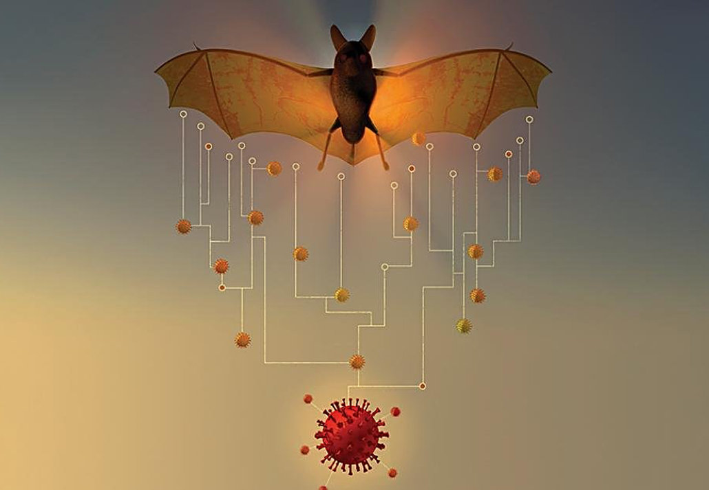 冠状病毒 英国科学家：冠状病毒疫情早在21000年前爆发，东亚人的DNA有印记