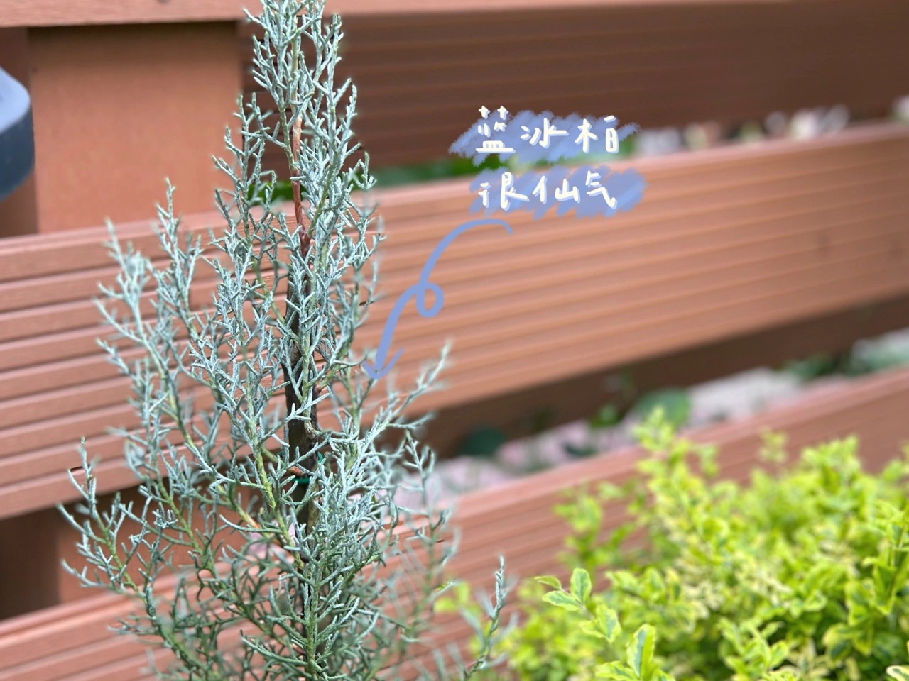 ?6万不到,改造72㎡现代庭院花园,教你做一个低维护的懒人花园