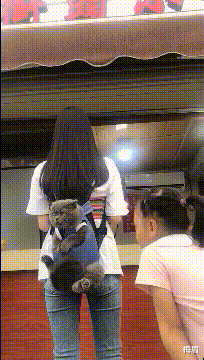 |刚租的房子，正打扫卫生发现了这个，我要不要告诉房东呢？