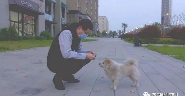 东丞侃天下 好想你，在武汉封城期间陪伴了我2个月……现在，你在哪？