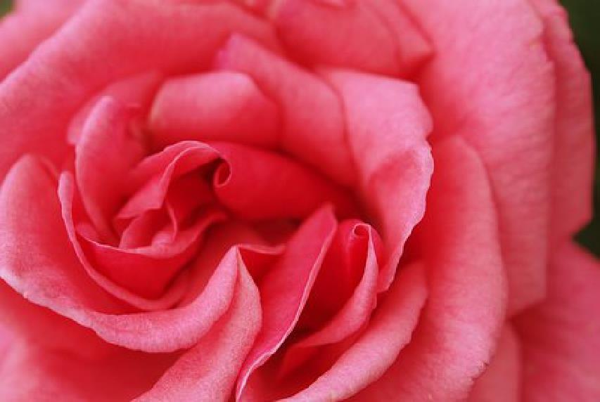 陈敏妍说情感|短有深意的感悟句子,精致走心,读读受益无穷