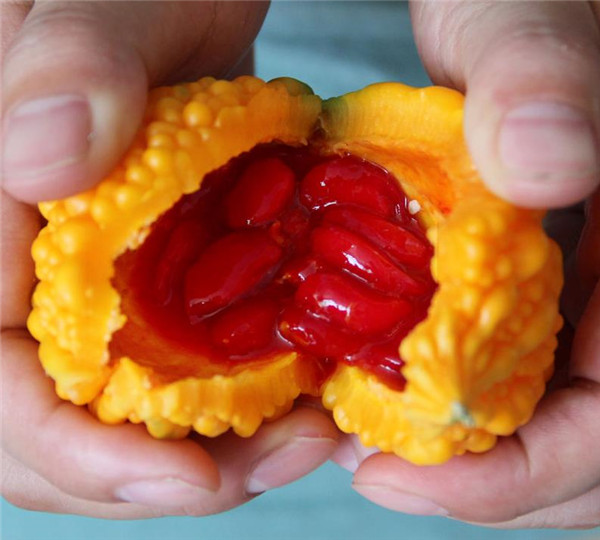 |曾经火爆一时的4种水果,如今消失不见,它们都经历了什么?